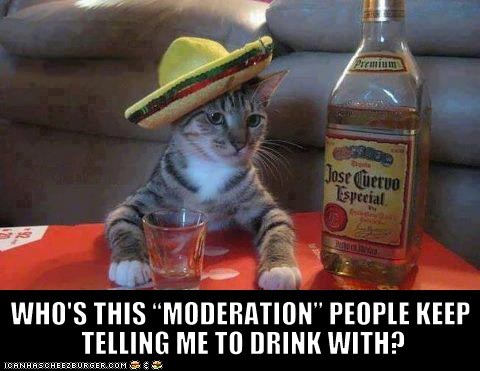 drink w moderation.jpg